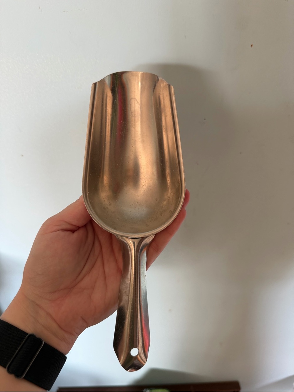 Metal Food Scoop in Silver - Home Dining